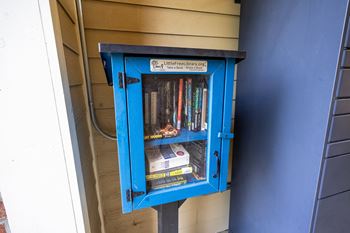 A blue little free library box 
